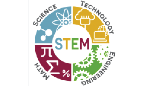 New STEM Degree Programs, STEM OPT Extension